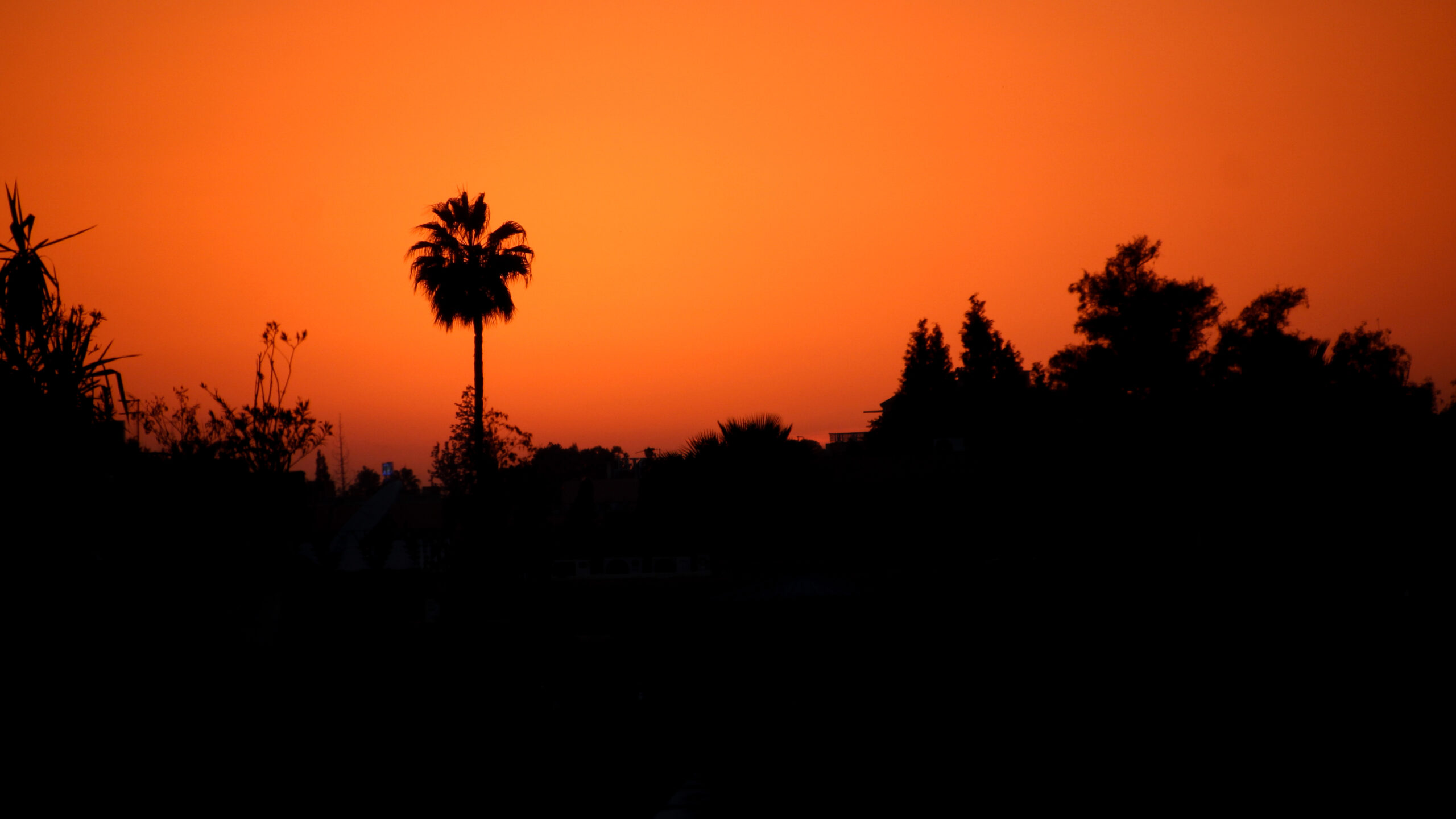 Orange Sunset in the Sahara Desert. Beautiful Landscape with copy space