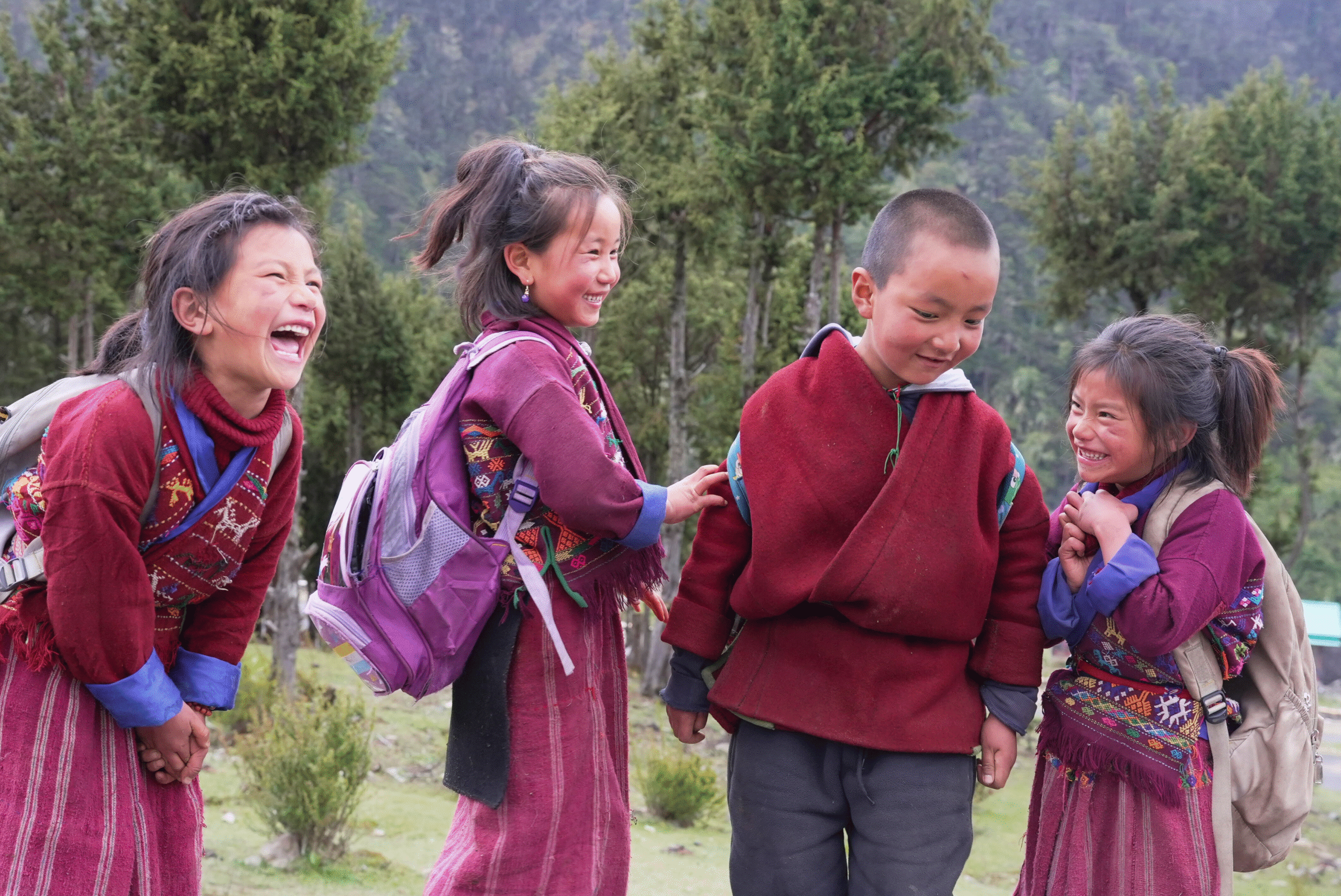 Portada Expediciones WEB