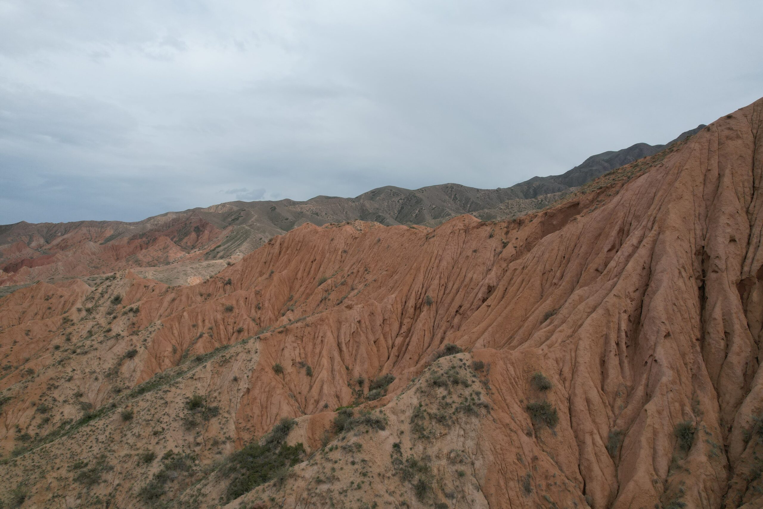 DJI_0562