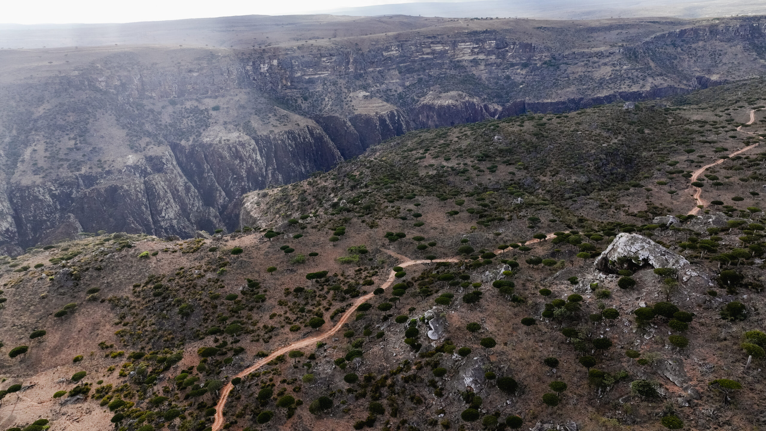 Visitors can enjoy stunning panoramas of rugged cliffs and diverse vegetation while exploring Socotra Island.