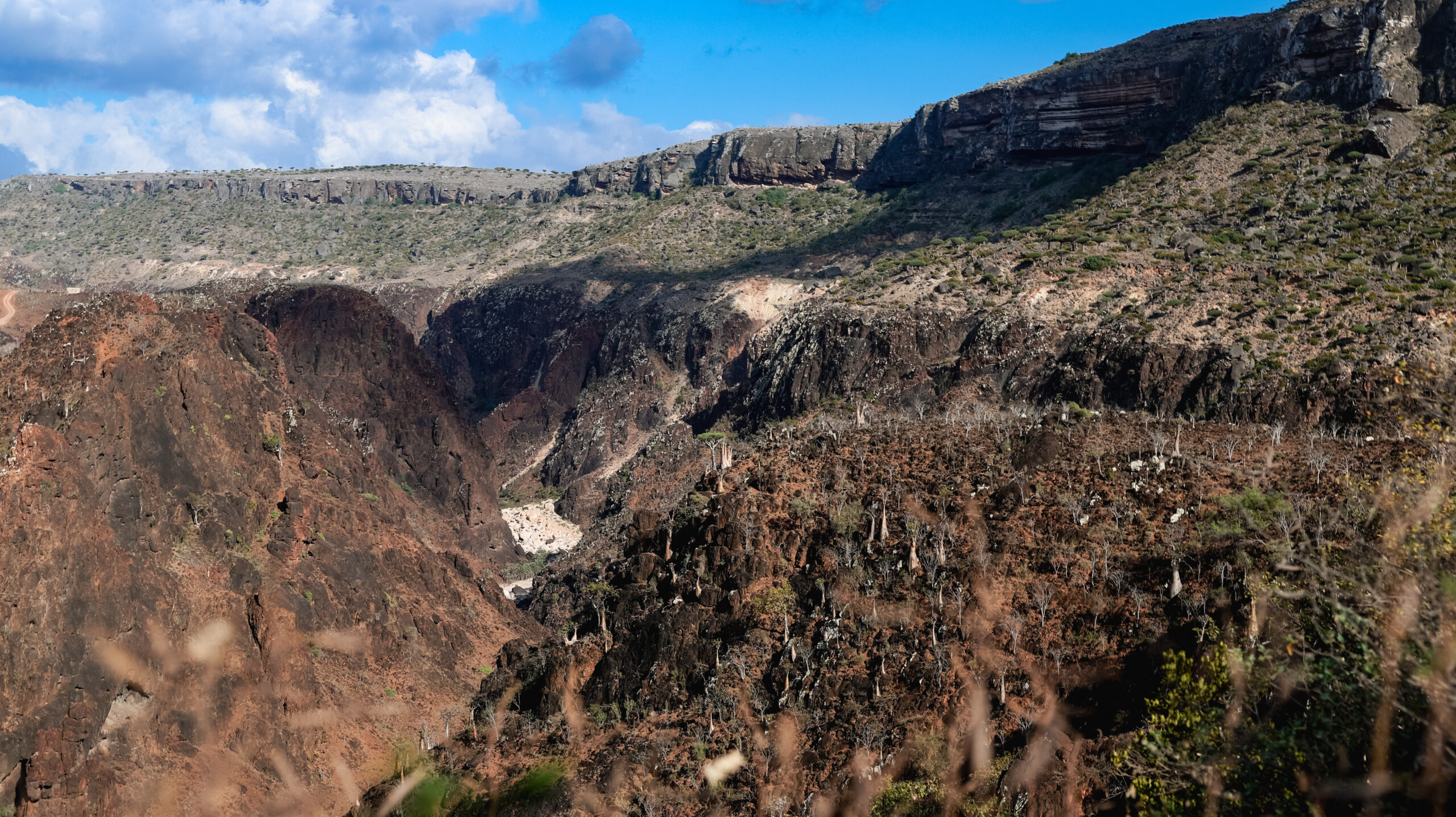 Dramatic valleys and rugged cliffs reveal the striking beauty of Socotra Island in Yemen, showcasing its unique natural landscapes.