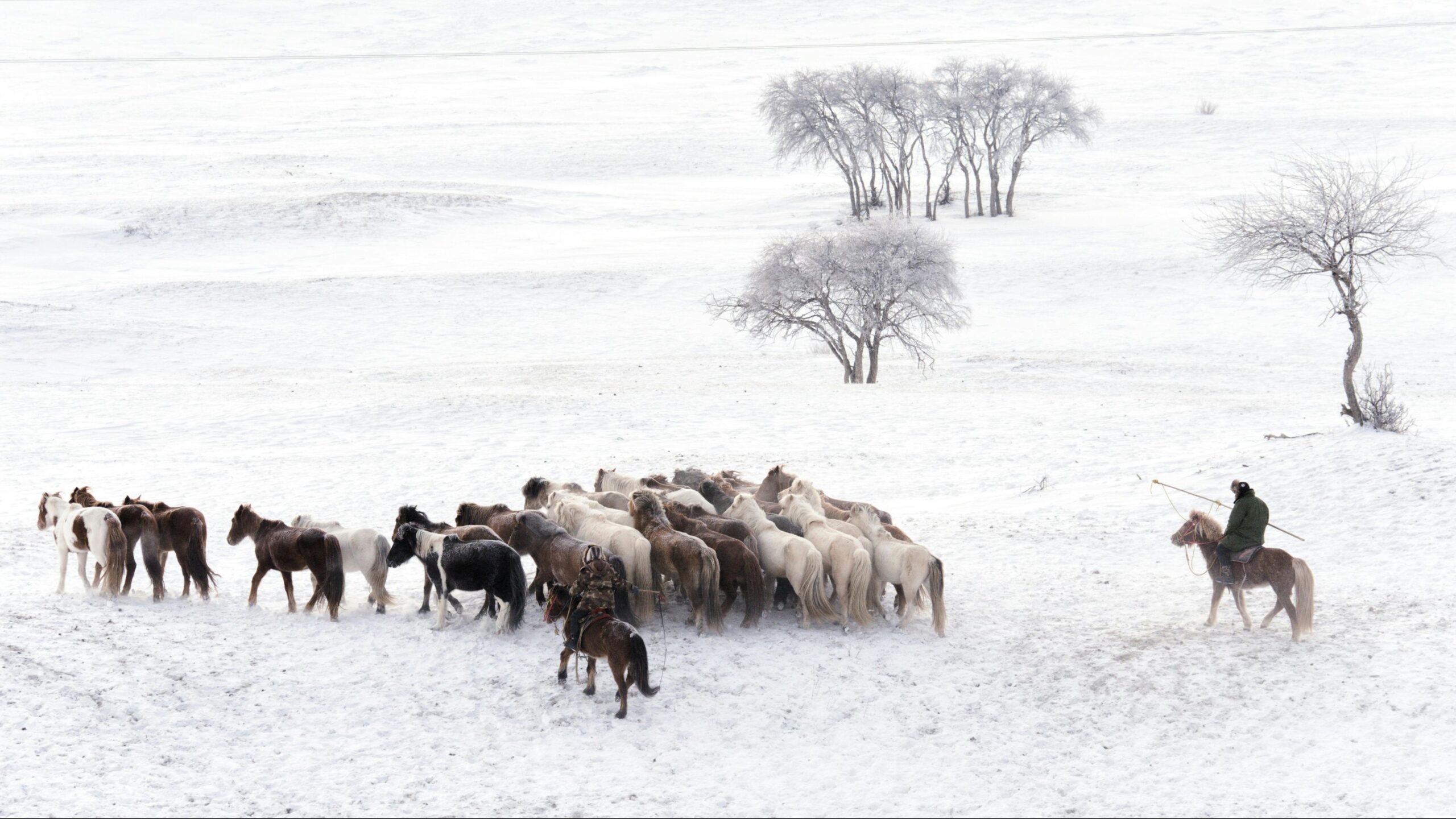 recurso mongolia